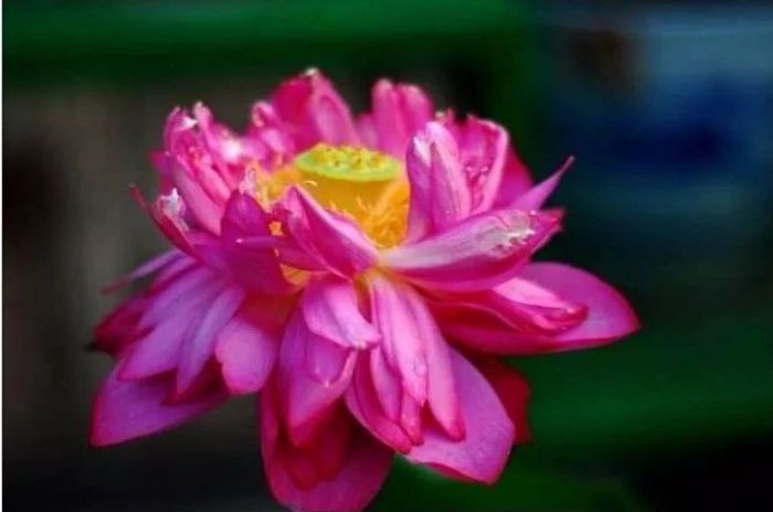 ����󣬾Ͳ��������ֻ�����