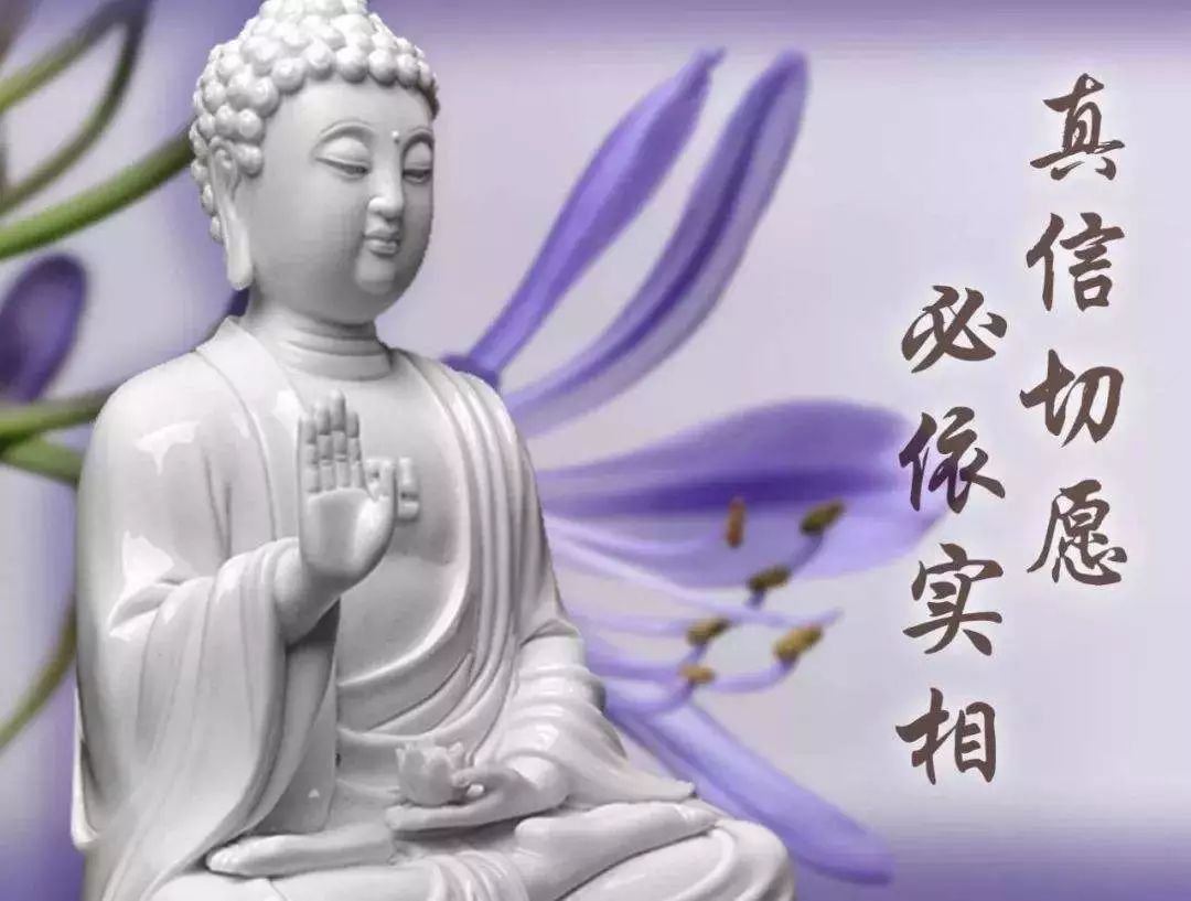 ����󣬾Ͳ��������ֻ�����