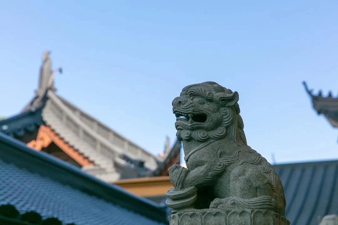 ���Ǳ��˲��ã����Լ�������ҵ��������