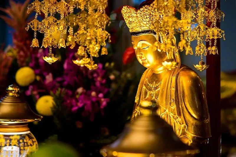 娑婆世界有多苦?人来到这世上为了什么? 娑婆世界有多苦?人来到这世上为了什么?