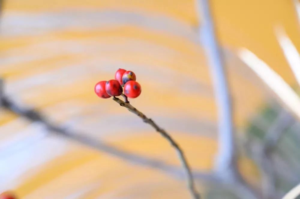 Ϊʲô���輴�ǻۣ�