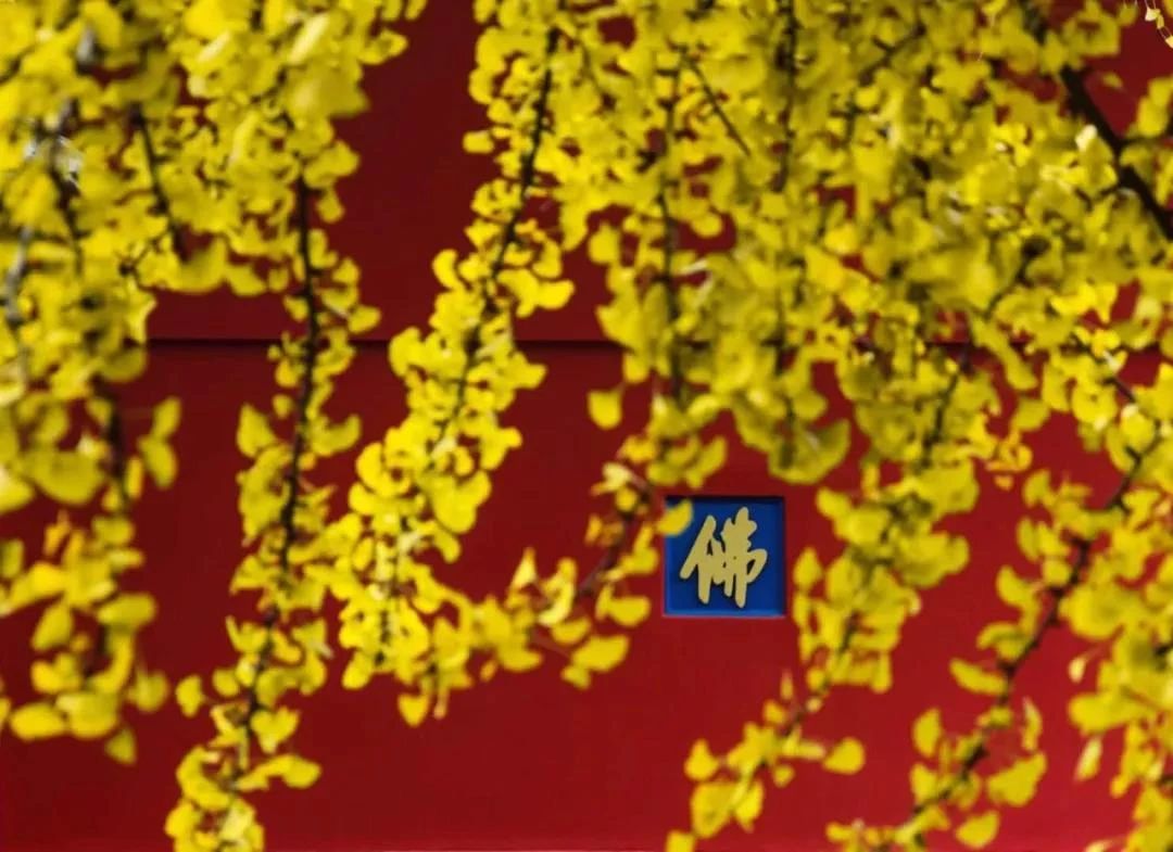 �������ˣ�����ϣ��������������ġ���