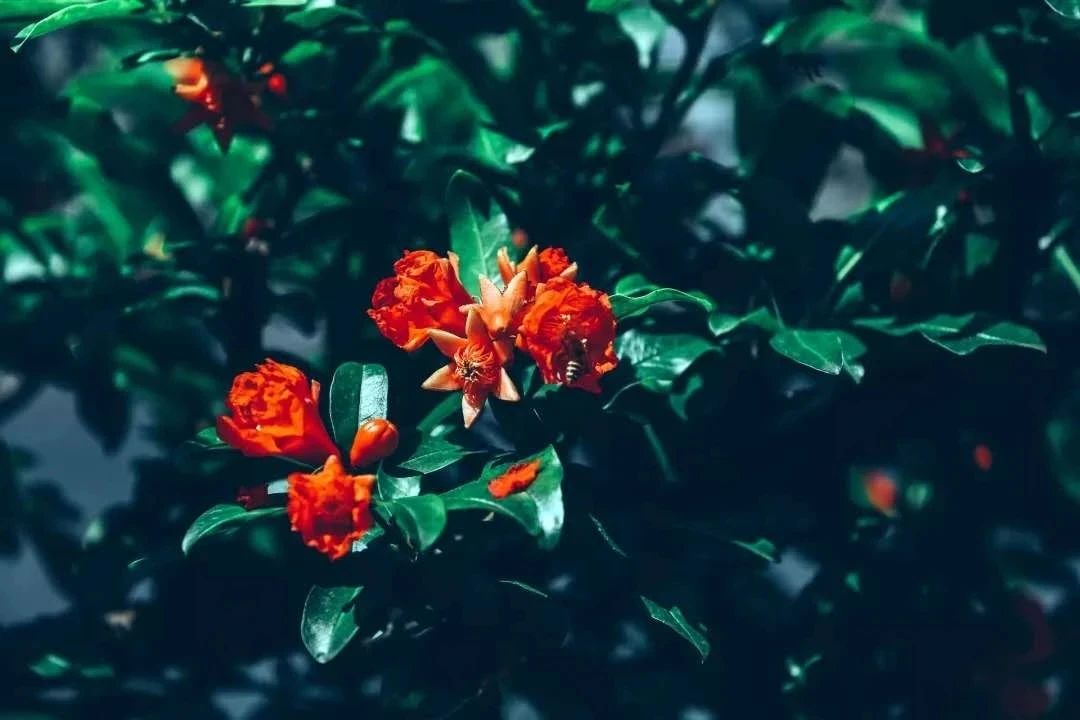 ˵һ�ɣ�������һ��