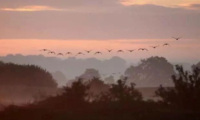 ɹ��ɵ������γɳ�Ϊһ����ɮ�ģ�