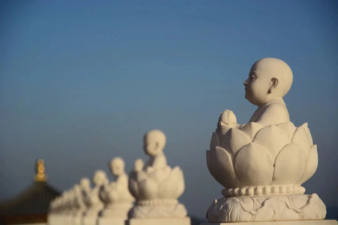 ������β����������ղ�������