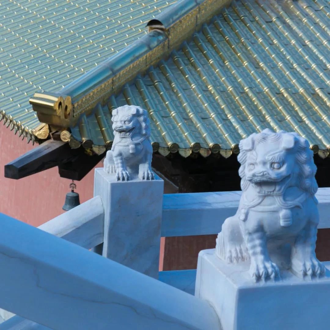 ����þ��Ի���