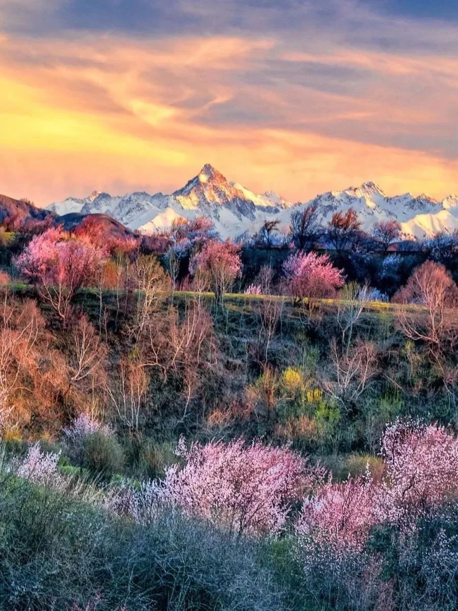 һ�������λ��������ֻ����̰��