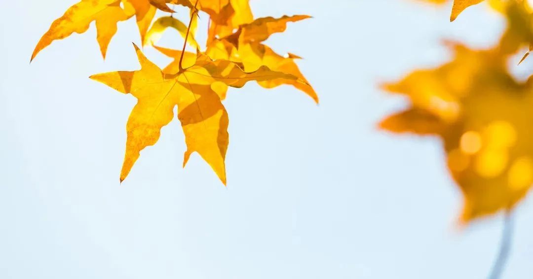 ������һ��ʦ�����������������������⻹��ʲô�����ҽ�ڣ�