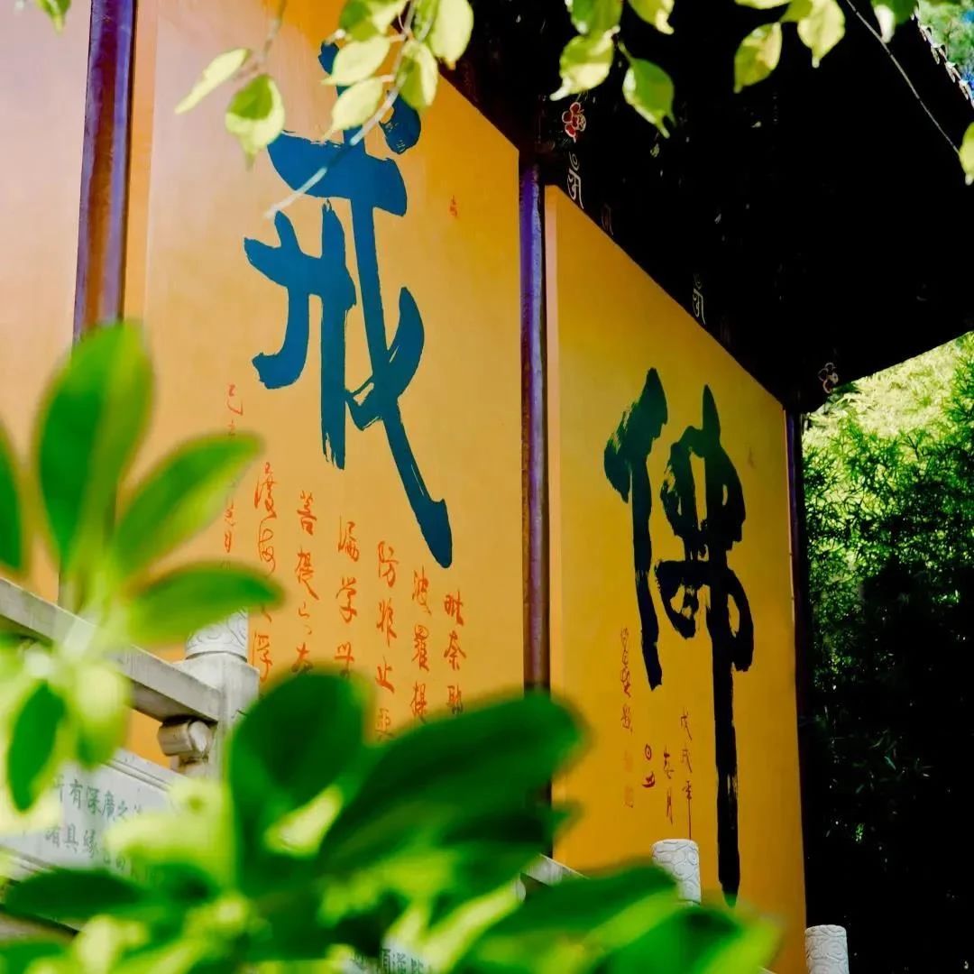 四种出现修行偏差的居士,你身边有吗? 四种出现修行偏差的居士,你身边有吗?