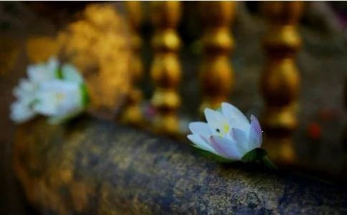 ��������ģ�ֻ��һת����