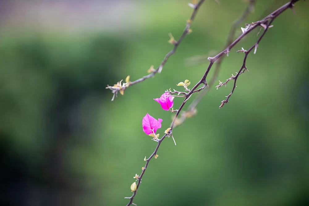 ��һЩ��Թ����һЩ��ϲ