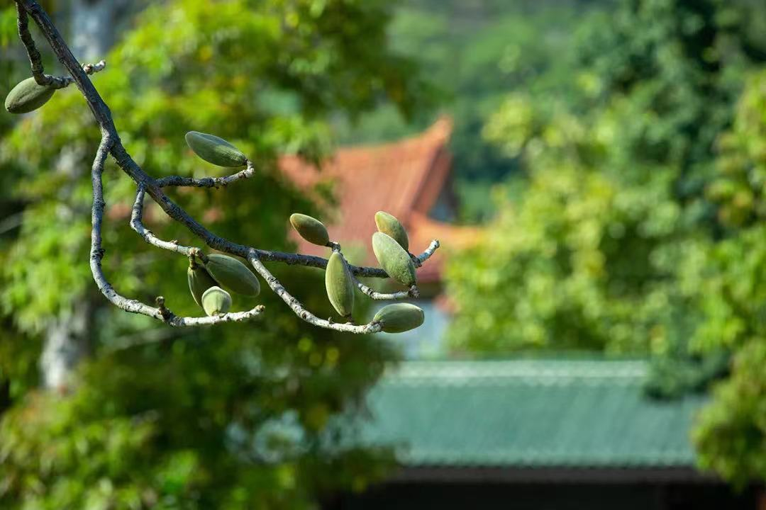 ��һЩ��Թ����һЩ��ϲ