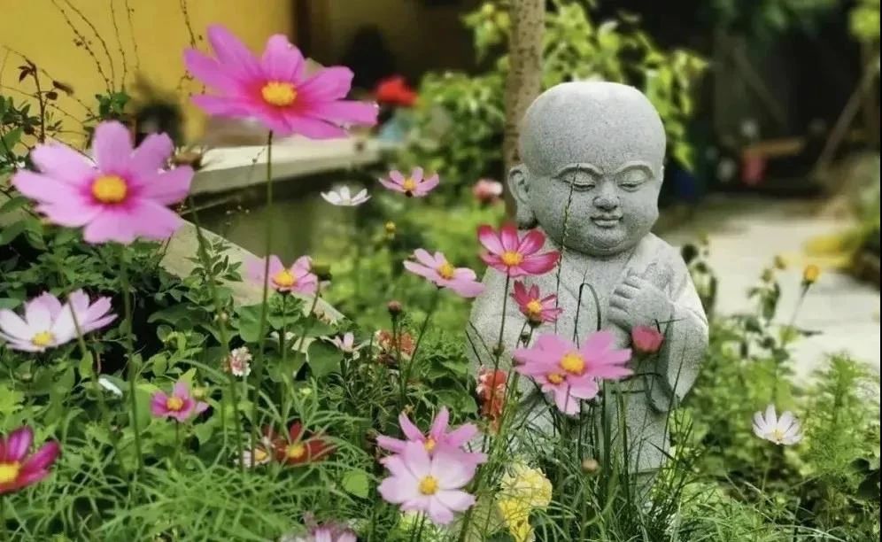 ���������ﲻ�룬�Ǽ�����������Ŷ���û��_��