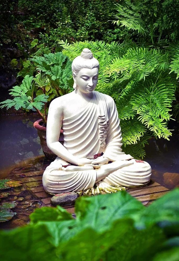 ����������������̬���������֮��