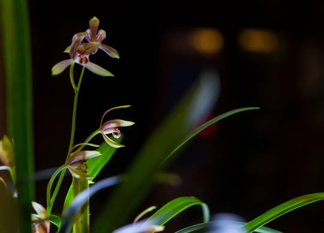 ���ڹ�����������������������