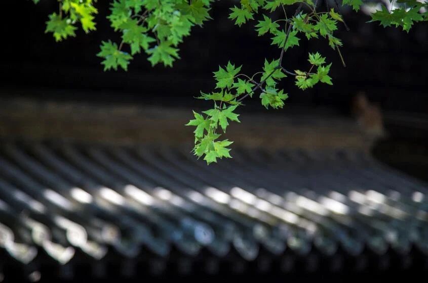 ��֮и�������ڲ�����δ��֮��