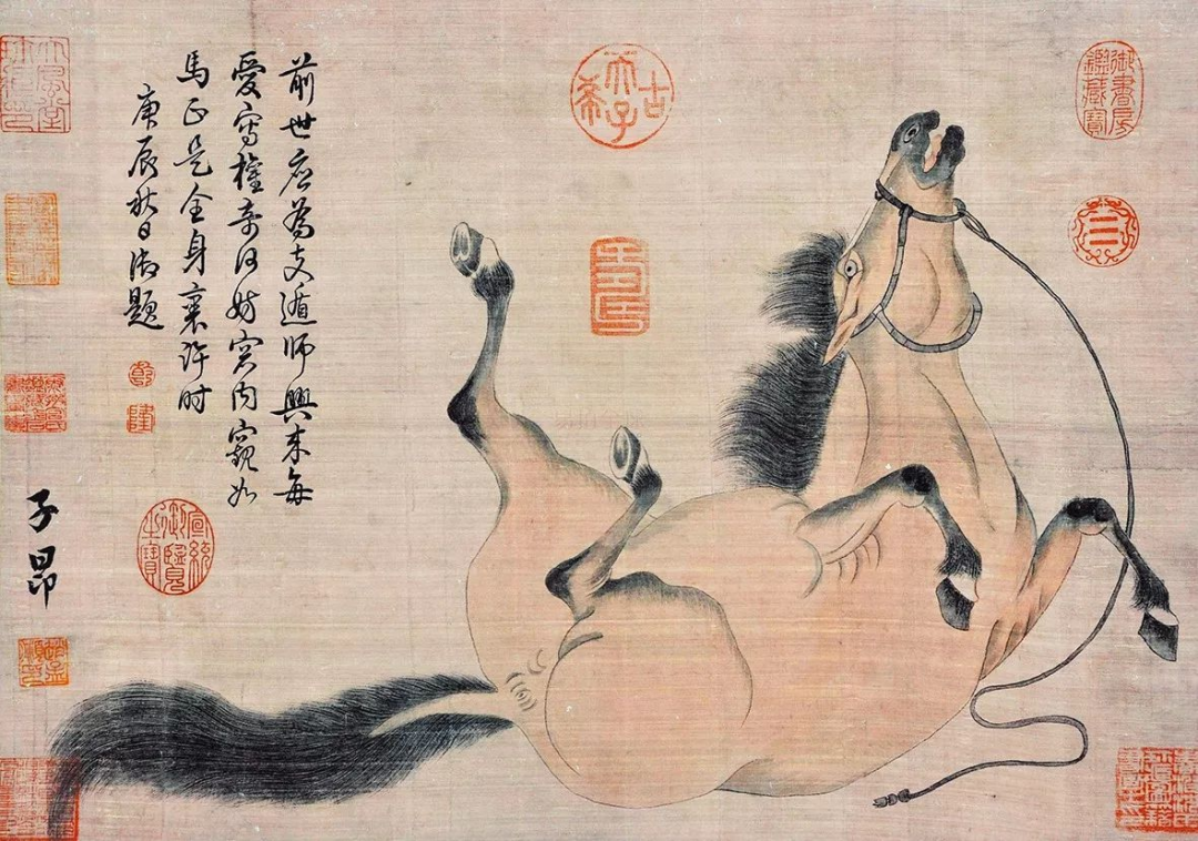 ��𵱡����š��������ġ�����ë�Ӵ˵ã�����Ҳ����