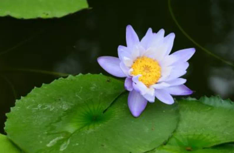 ������⼸�����������ף�һ��Ҫ������ڣ�