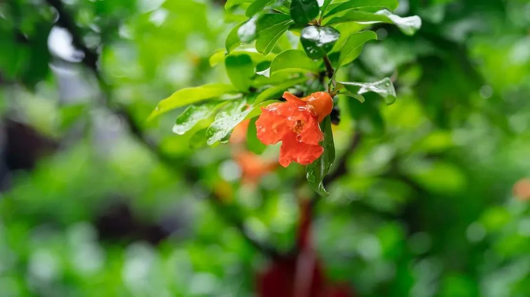 ʱʱ�غ������ж���Ҫ��