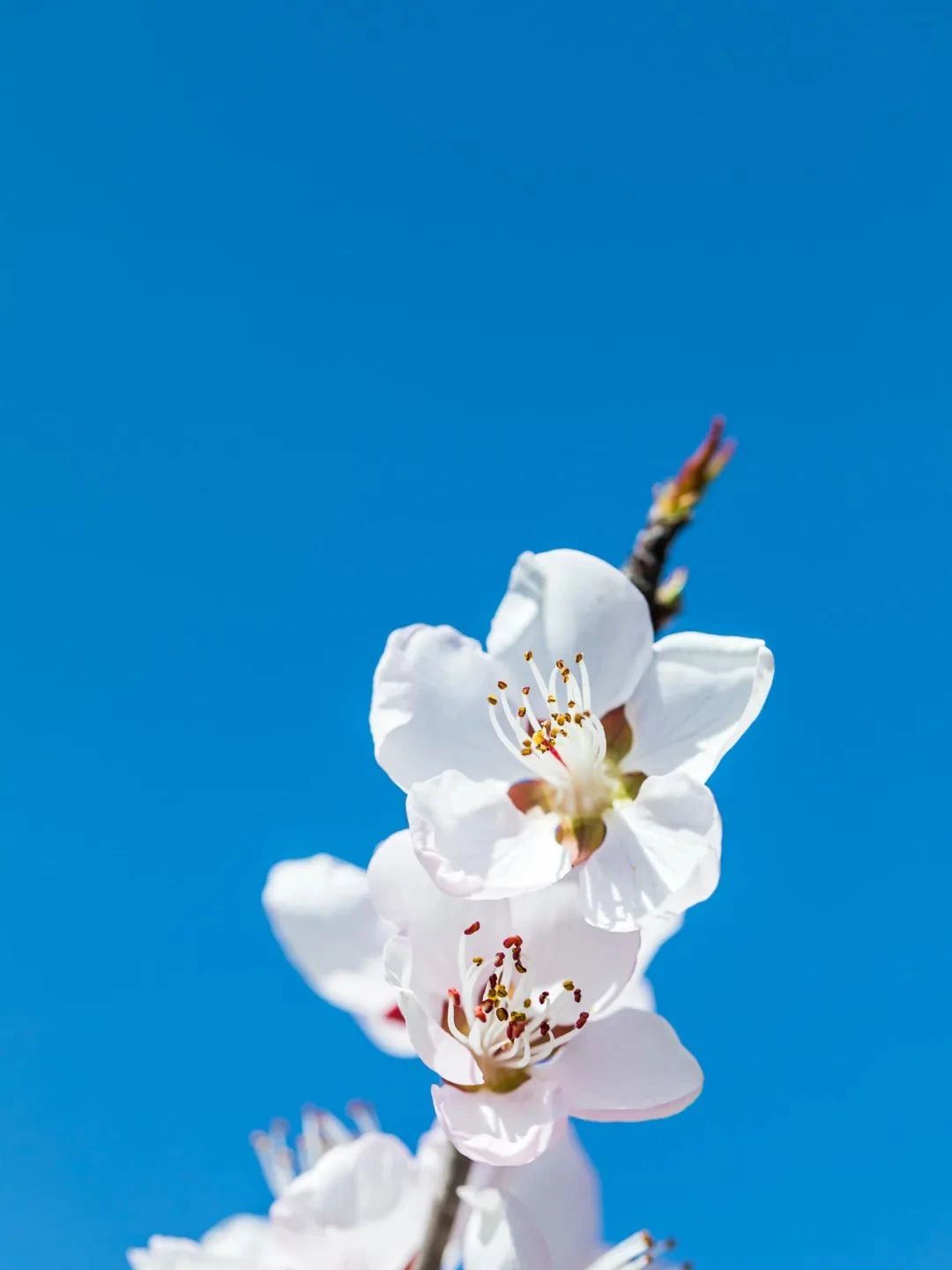 ʱʱ�غ������ж���Ҫ��