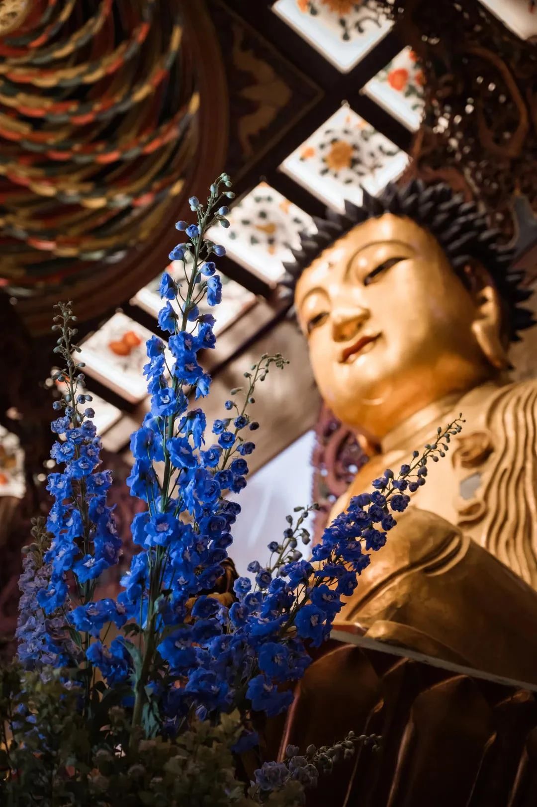 ѧ���Ժ����ߵ�ÿһ�������ǲ�������