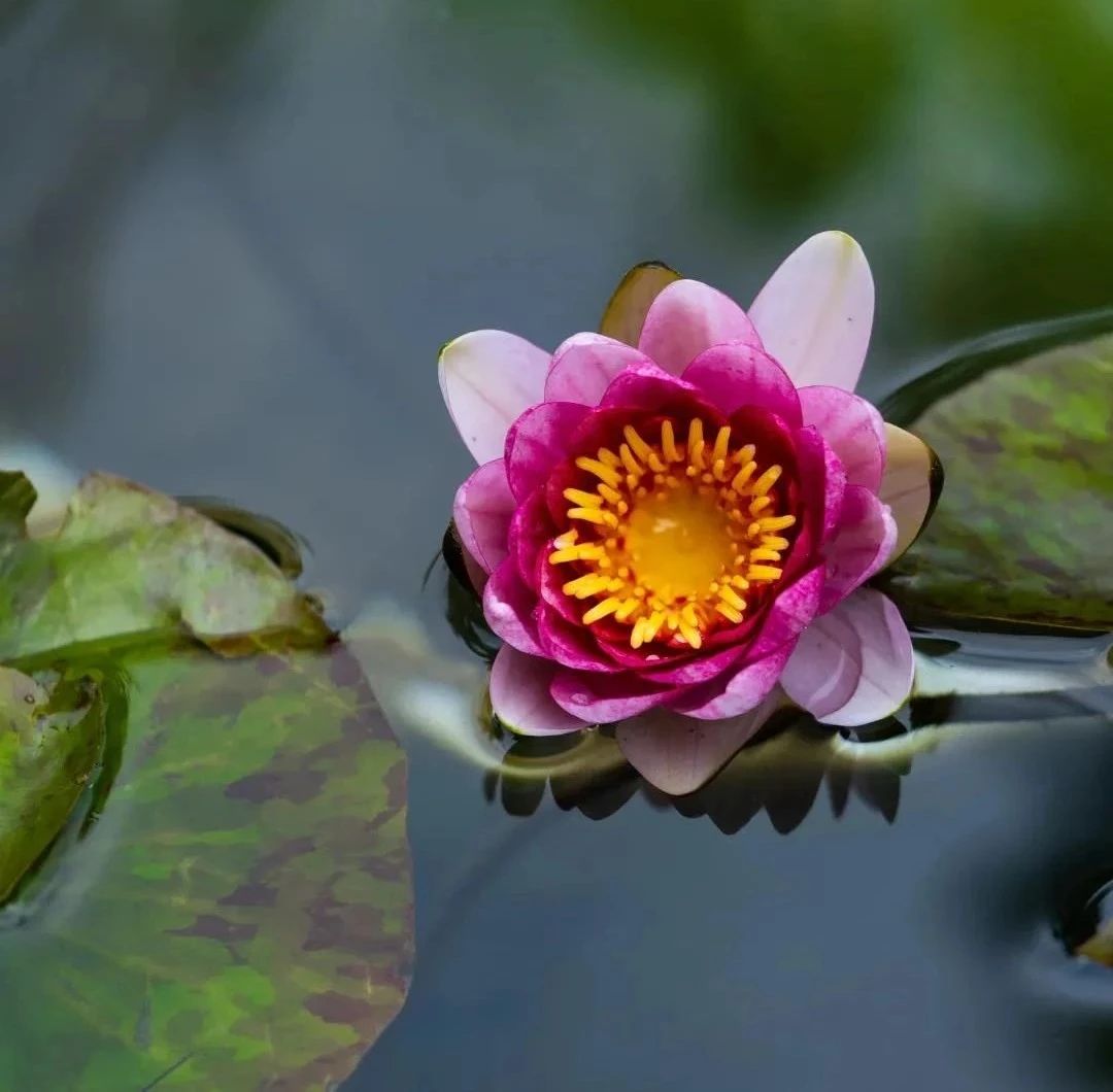 ѧ���Ժ����ߵ�ÿһ�������ǲ�������