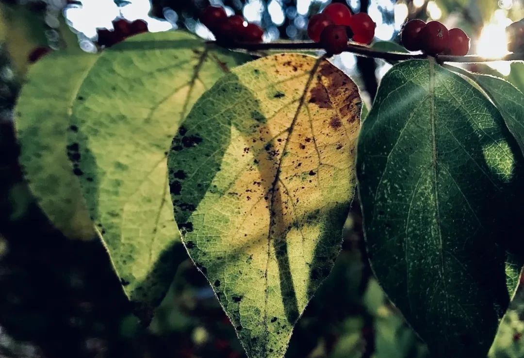 Ϊʲô���в����׵�����Ҳ������Ϊ���ԭ��