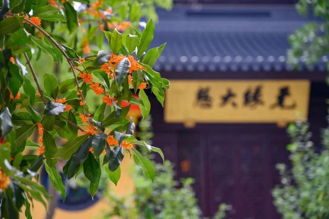 ��Ӧ��ѧ��������������������