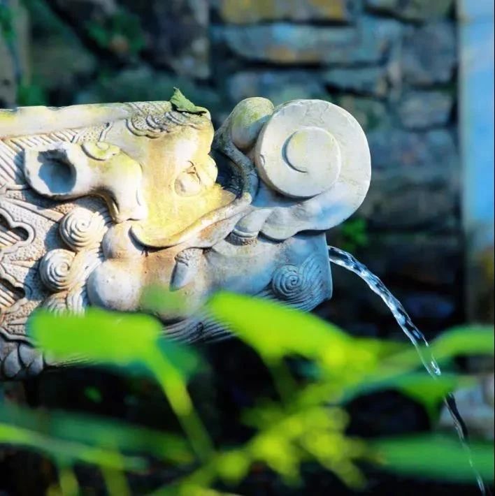 ��Щ�����������ˣ��������רһ������������Կ�����