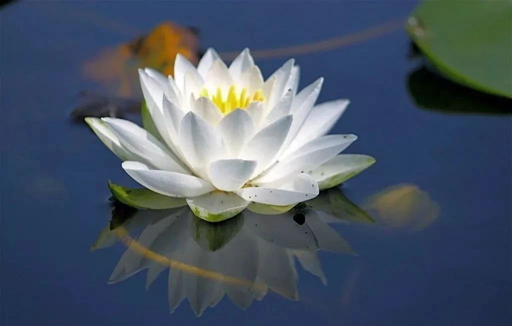 �������ߣ�������ѽ�Ϊ����֮��