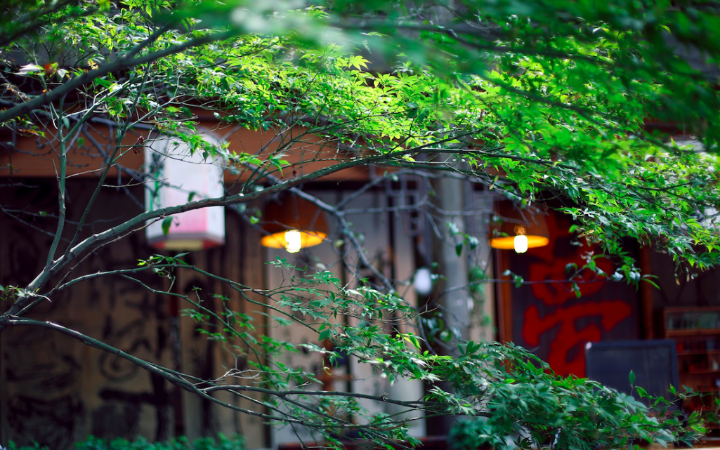 �������ߣ�������ѽ�Ϊ����֮��