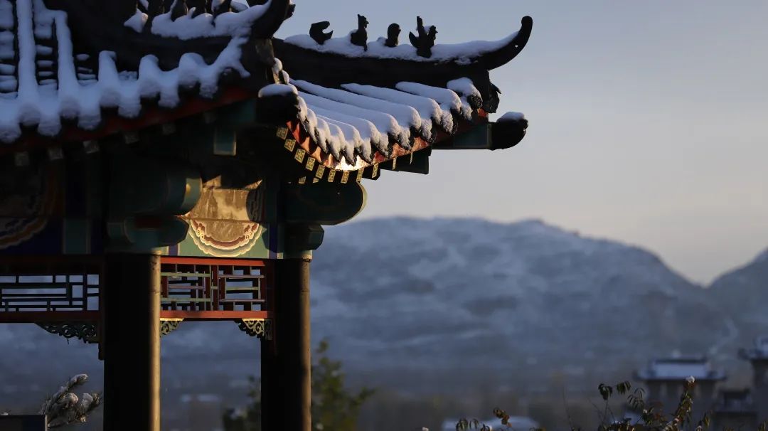 ��������������������λ��ɮ�Ļش�