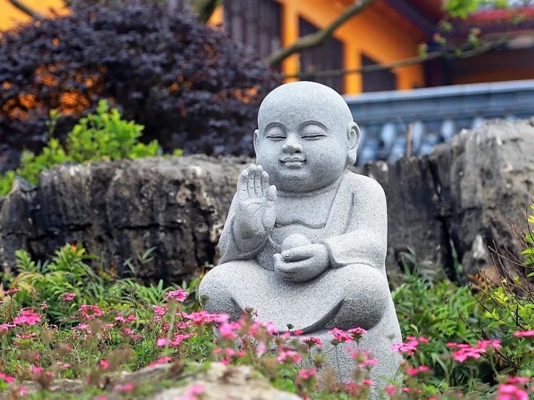 ���ջ����²��˰��飬˵����������Ĳ���