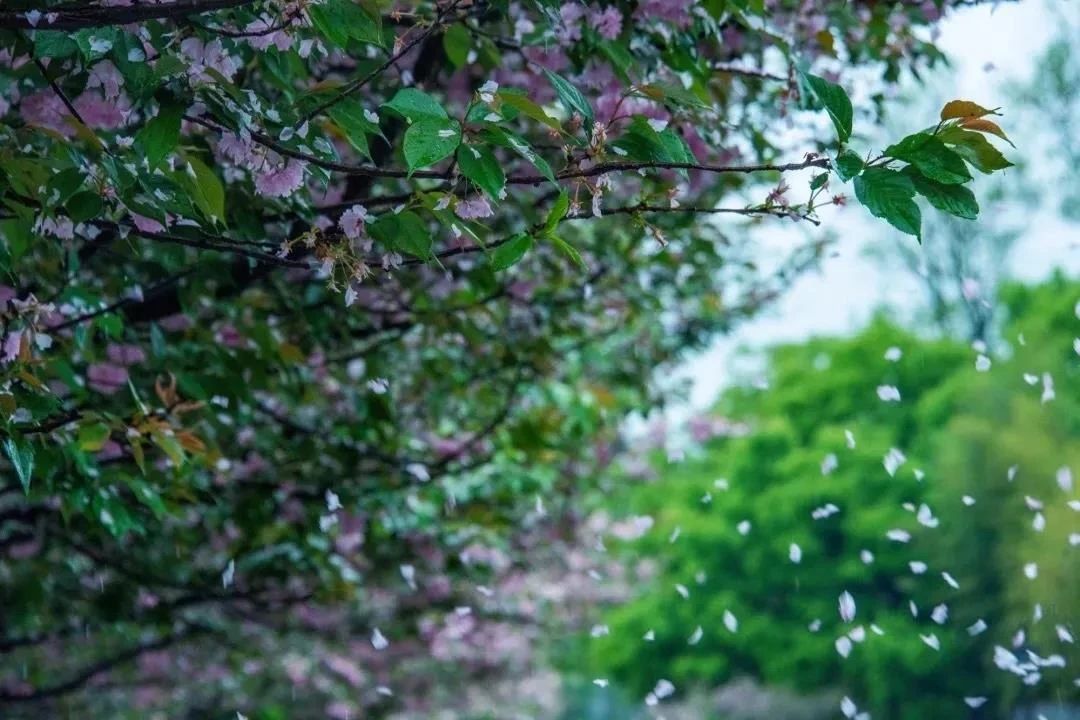 �÷��������Ʒ�ʣ�3��������ʵ�ã�