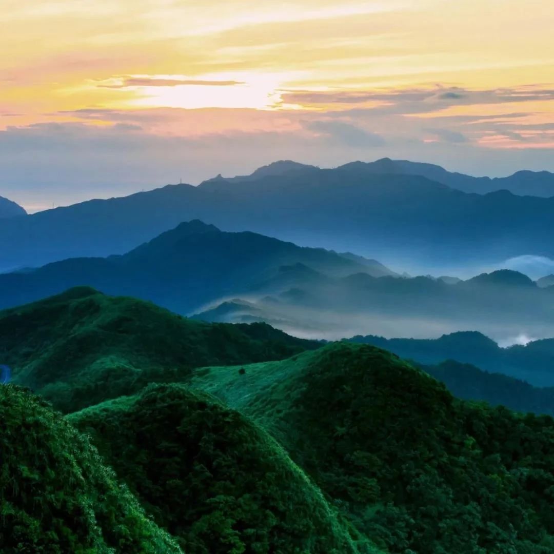 �������Ŀ��֣�û��һ���ǰ��ȵ�