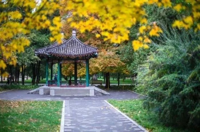 越舍不得的,越要趁早放下 越舍不得的,越要趁早放下