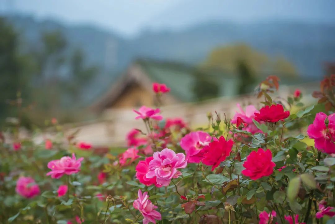 ��������Ϊ���շ�����ȴ���������޳�