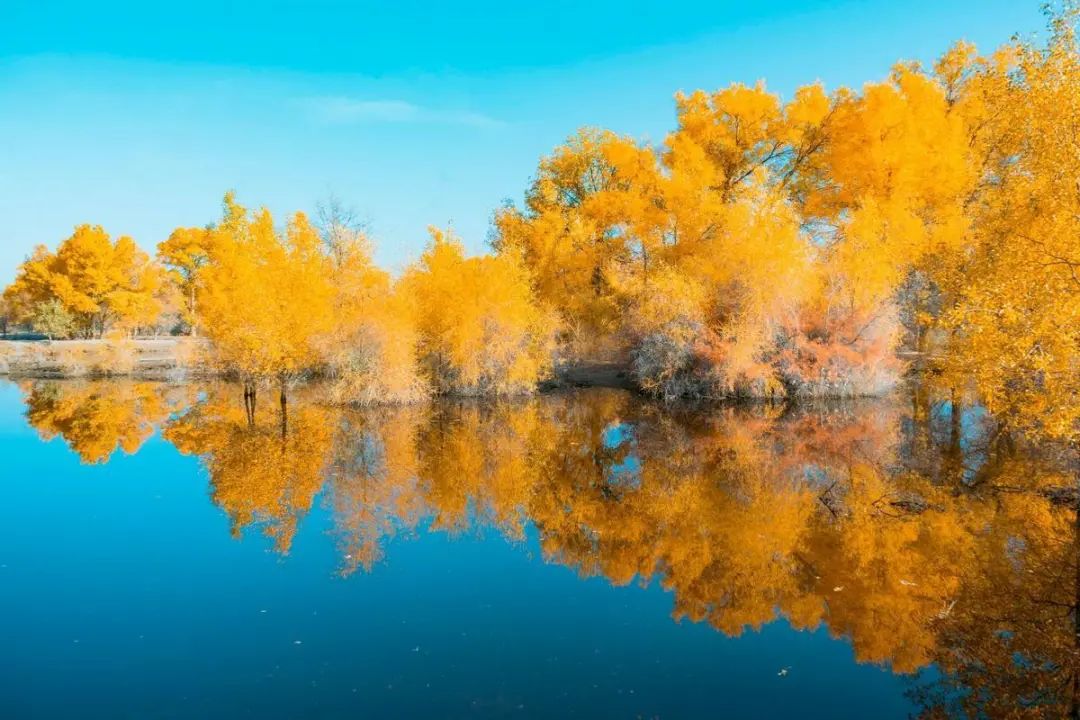 ��ͥ���ǵ���