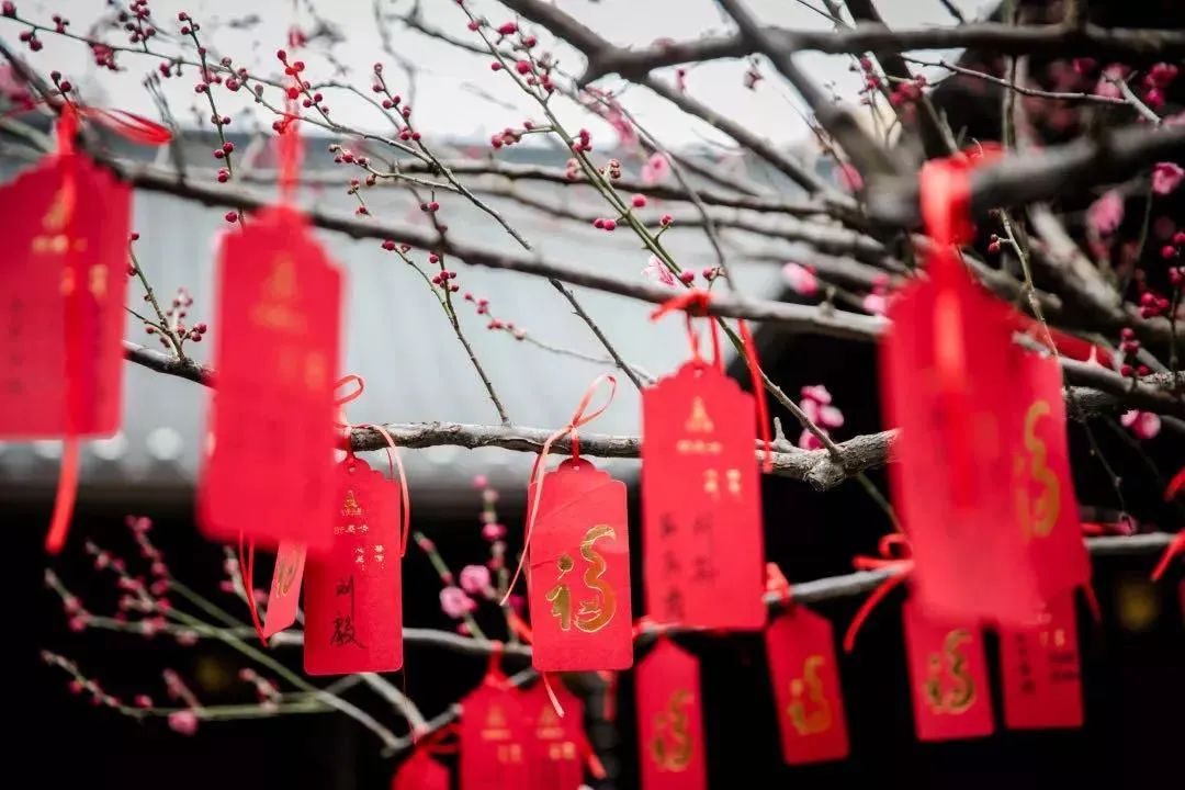 居士信佛不能破坏了家庭的和乐 居士信佛不能破坏了家庭的和乐