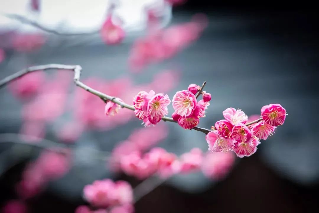 居士信佛不能破坏了家庭的和乐 居士信佛不能破坏了家庭的和乐