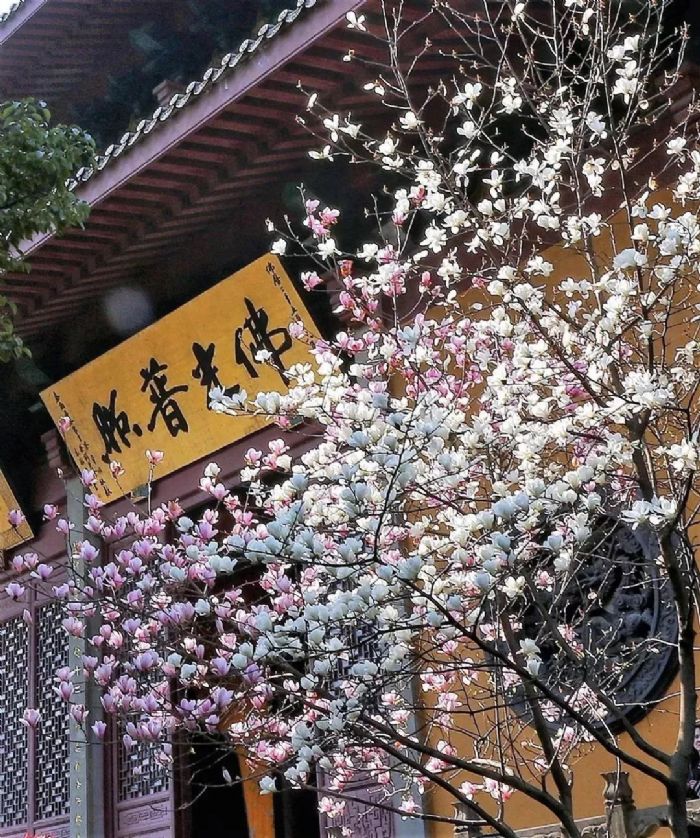 ��ִ��ʲô���Ͷ���ʲô