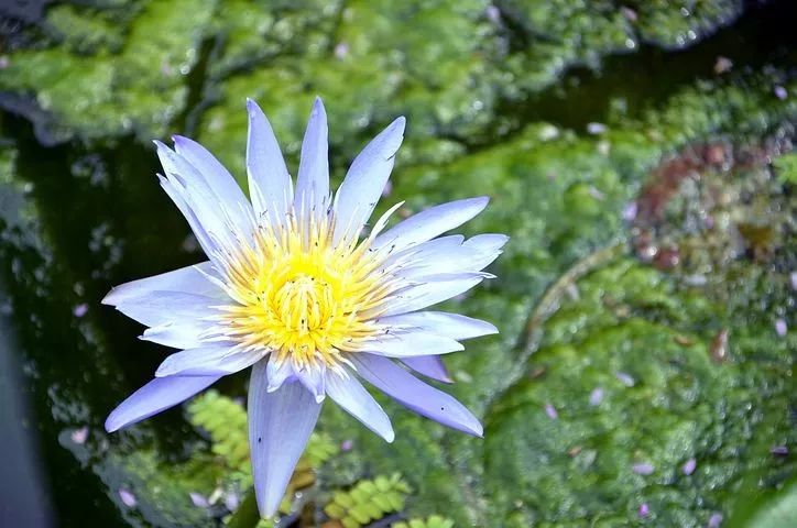 现在求福报,年老再求往生可以吗? 现在求福报,年老再求往生可以吗?