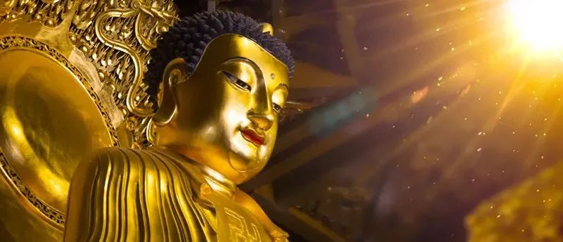 ���˽�_|_��ӭ����Ĳ���ɵ��գ�