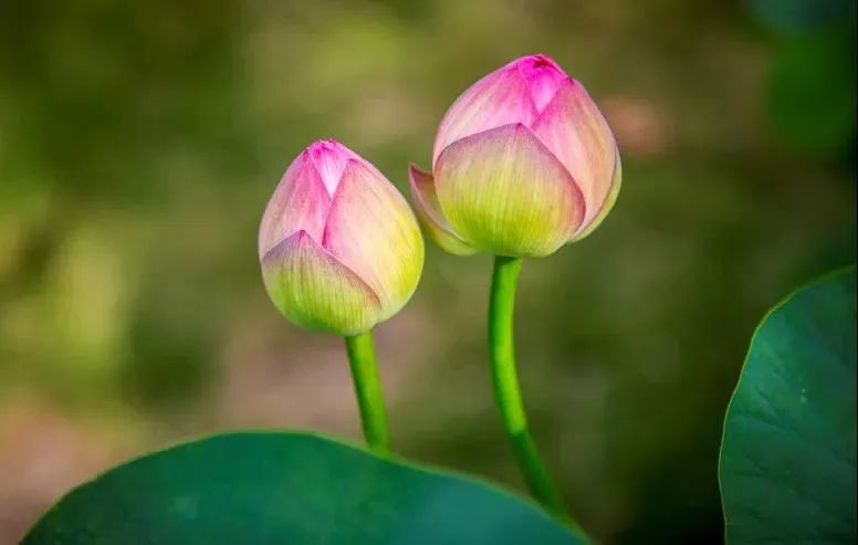 ̸��˵���ߣ��ི��ѧ������ѧ��