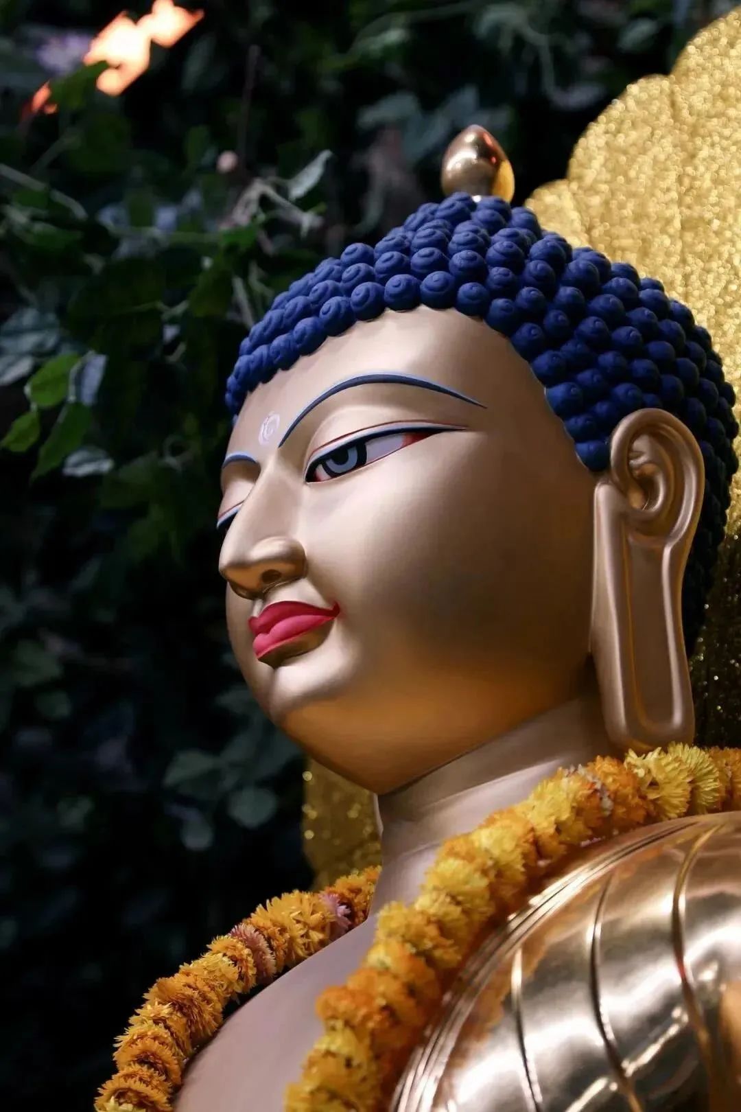 他的成道,为这时代开启了智慧之光 他的成道,为这时代开启了智慧之光