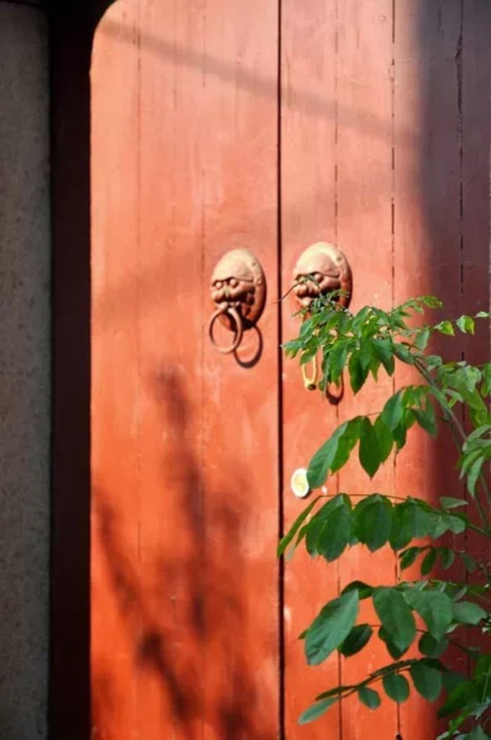 ���������ġ����Ĺǡ�