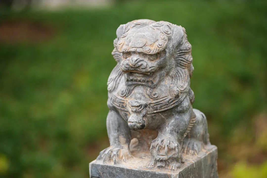 ���������ġ����Ĺǡ�