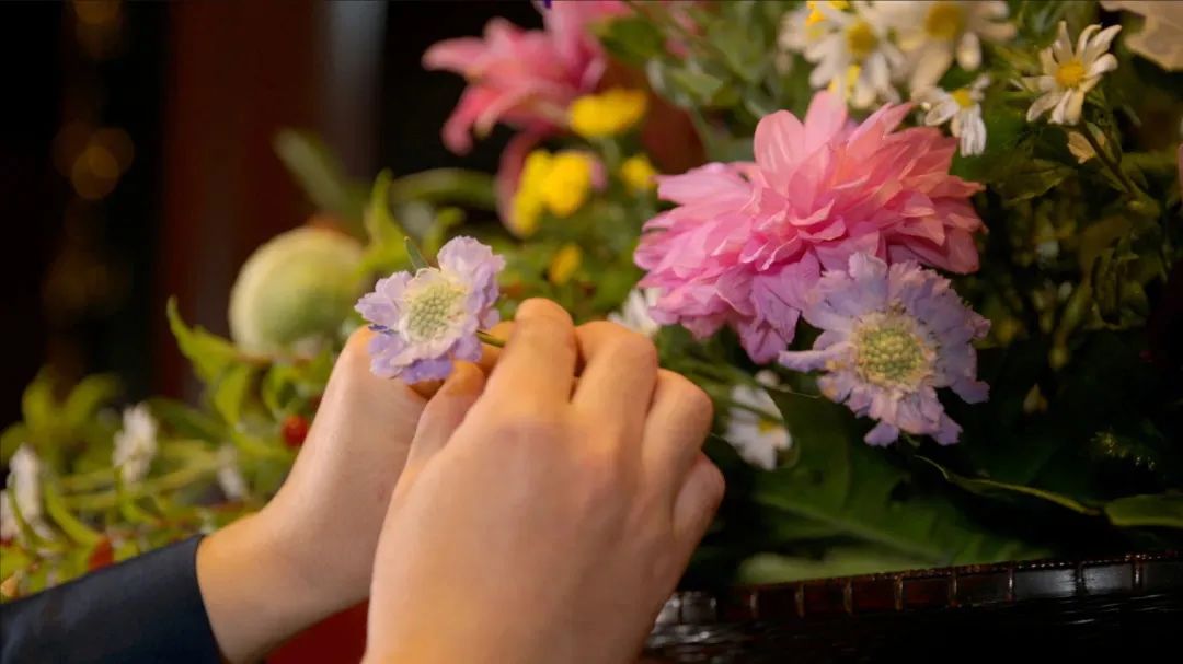 ���������ġ����Ĺǡ�