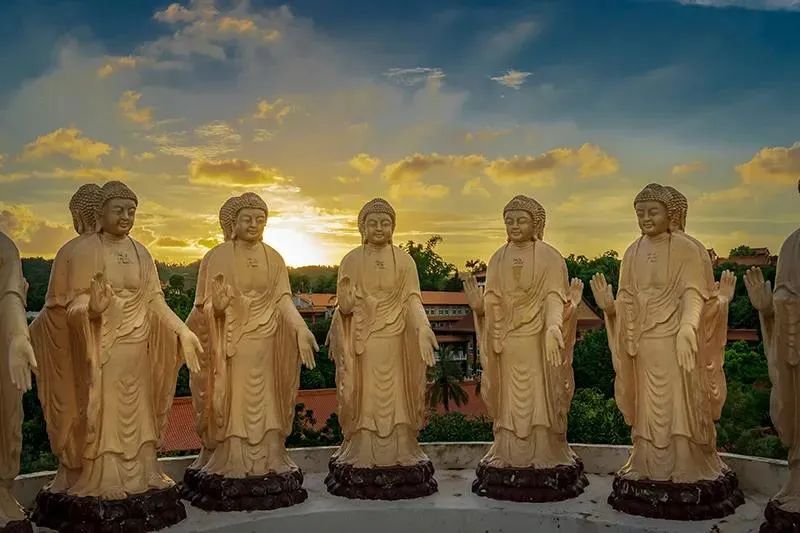 ����ר��Ҫ��ר�������Ҫ����