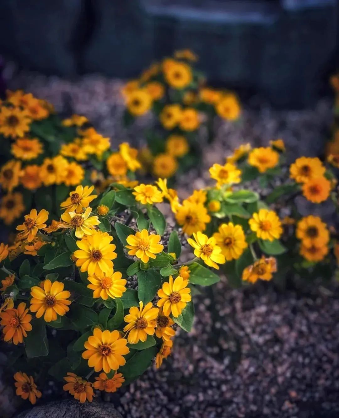 你这一辈子,为谁辛苦为谁甜? 你这一辈子,为谁辛苦为谁甜?